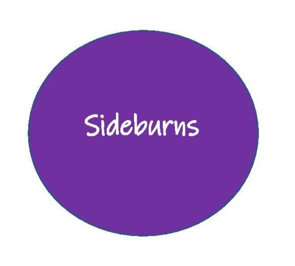 Sideburns – AdinaB Salon